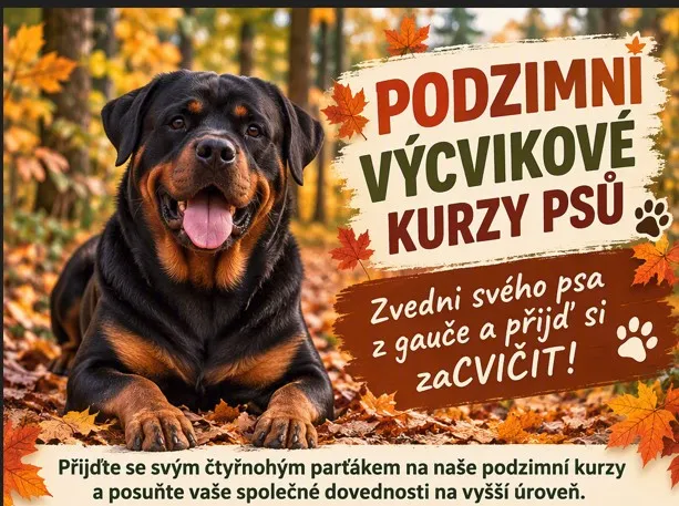 Podzimní kurzy již brzy