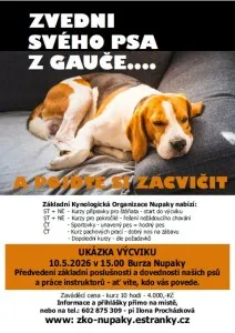 Fotografie 3